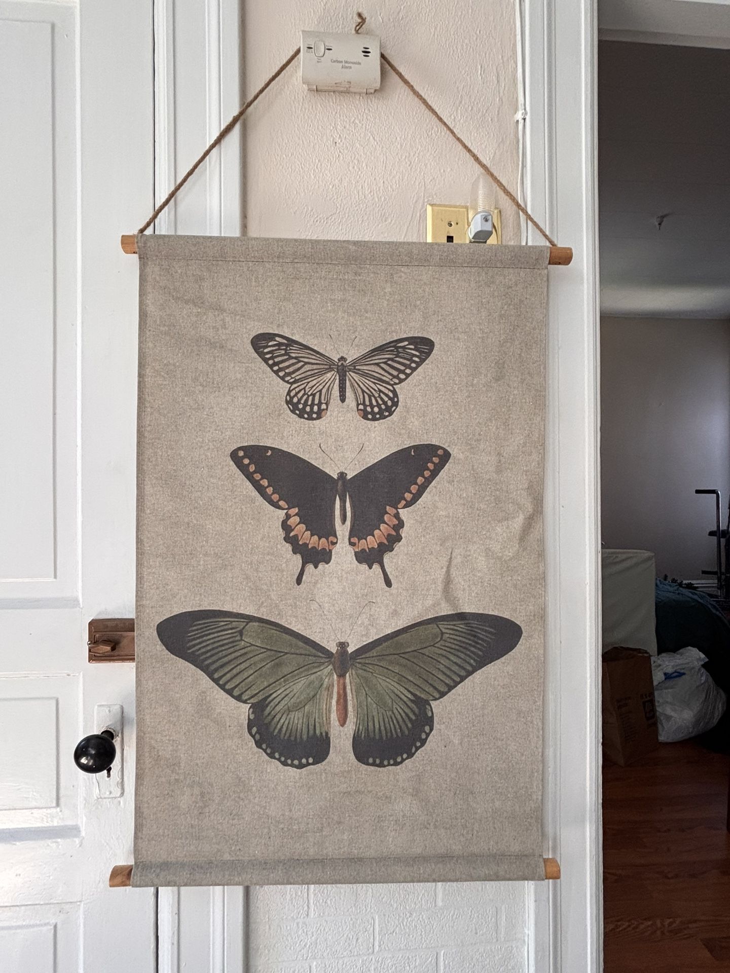 Boho Butterfly Hanging Canvas Print