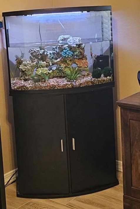 36 Gallon Fish Tank With Stand And Various Supplies