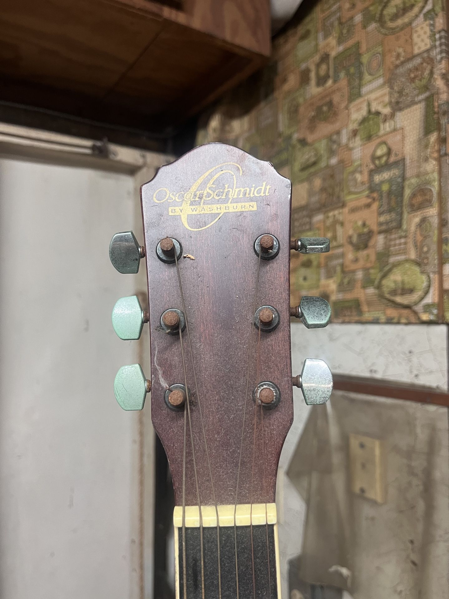 Caustic Guitar