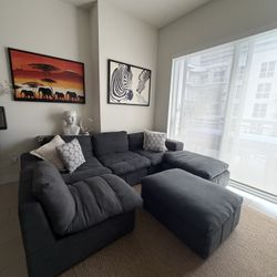 Modern Sectional with Washable Covers 
