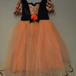 Toddler Size 2t-3t Fall Pumpkin Fairy Halloween Costume
