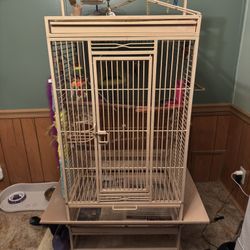 Bird Cage