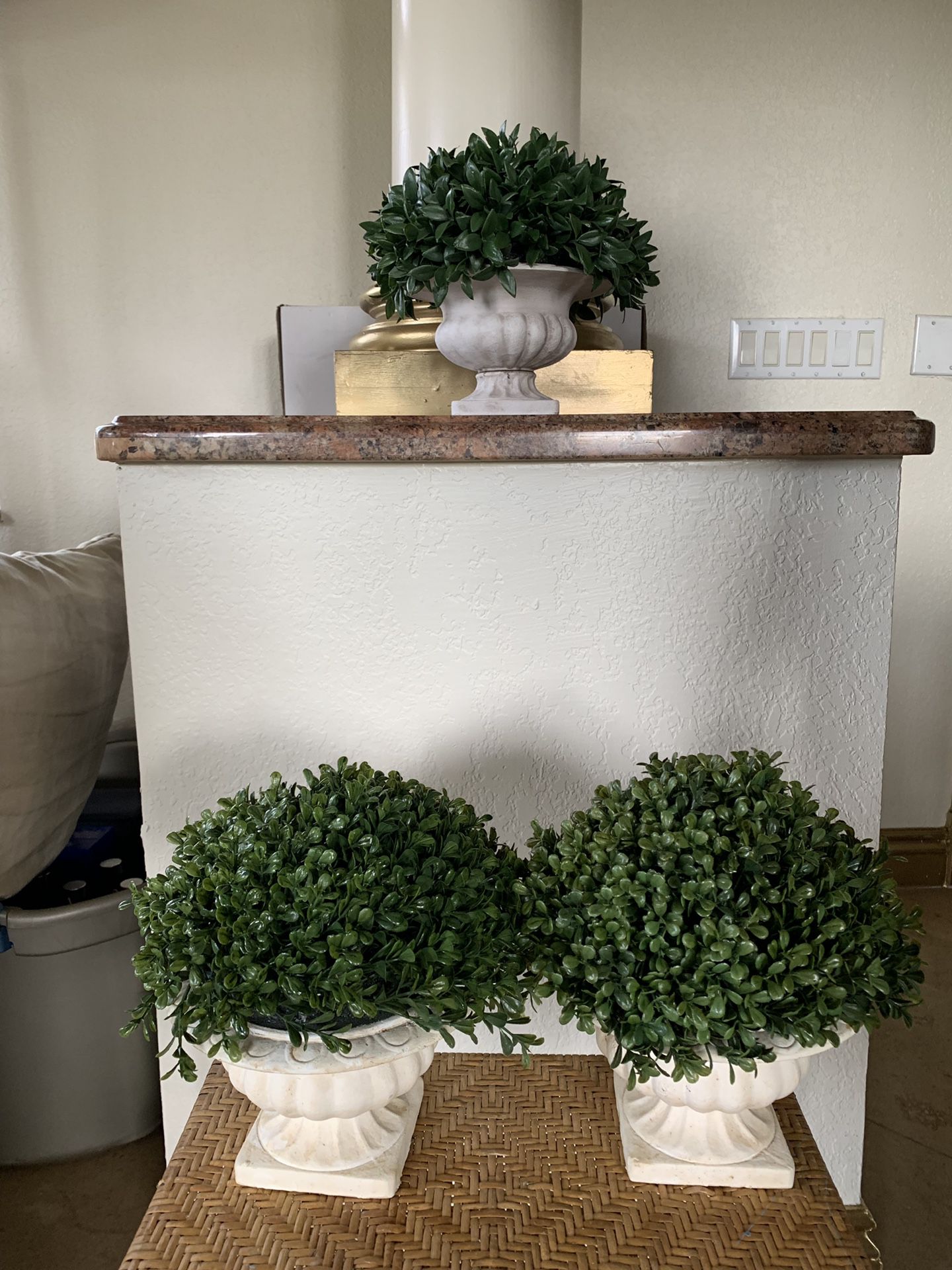 3 small plants! Home decor