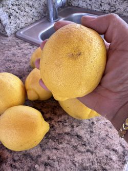 Lemon Amarillo Grande