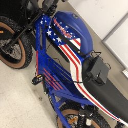 Electric Bike 1000w/2000w Brand New 