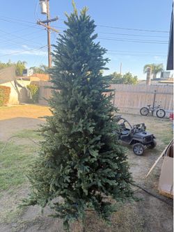 New costco 7.5ft Christmas tree
