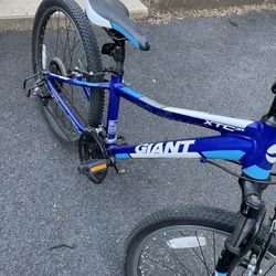 Giant XTC JR 24 Bicycle
