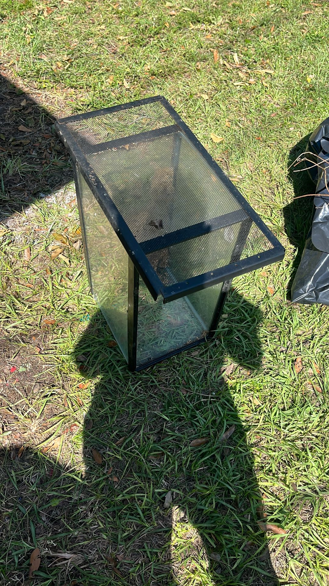 10 Gallon Reptile Tank