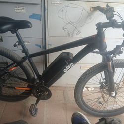E Bike Qlife