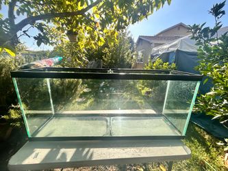 55 gallon fish tank/ fish tank