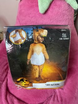 Dinosaur costume infant