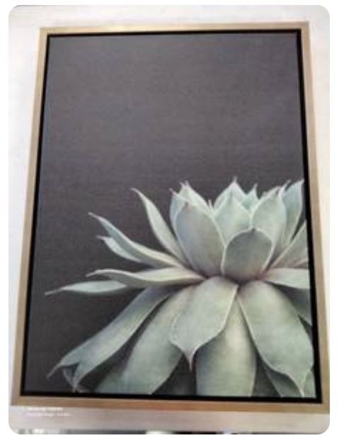 Wall canvas 18" * 24"