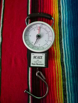 Portable Luggage/Fish Scale