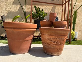 2 big terracotta pots and 3 small ones for only 100 dollars everything