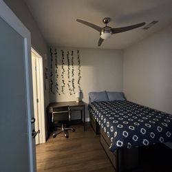 Private room and bathroom at CoLab