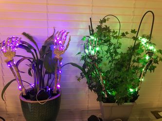 Halloween Decoration Decor Skeleton Lights Lit Battery