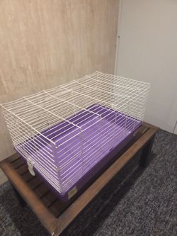 Animal Cage / Rabbit & Guinea Pig Habitat with Purple Base