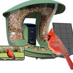 Bird Feeder