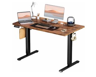 Electric standing desk 48 inch