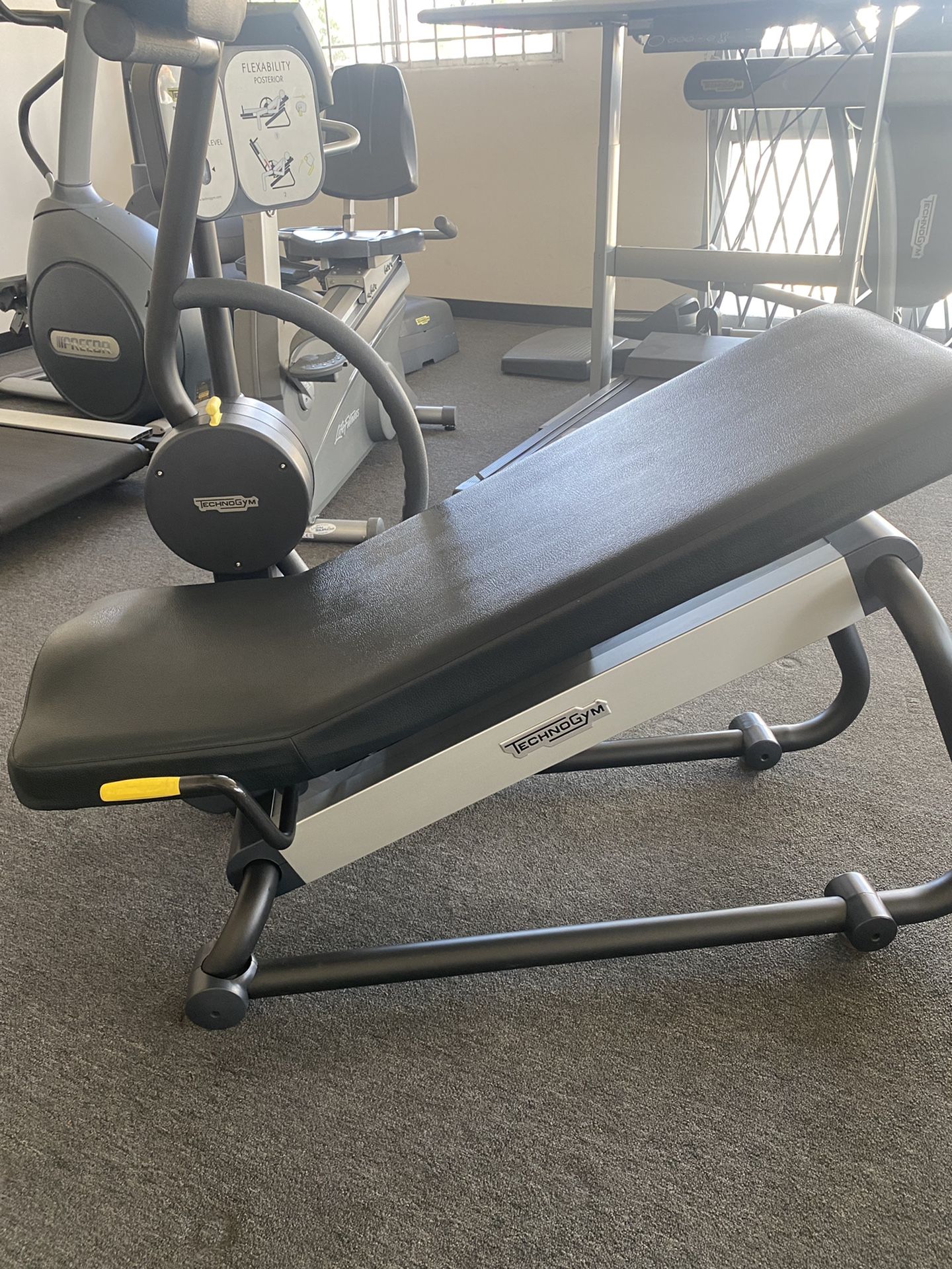 Flexability Machine TECHNOGYM FLEXABILITY POSTERIOR, STRETCH MACHINE, GYM for Sale in Santa ...
