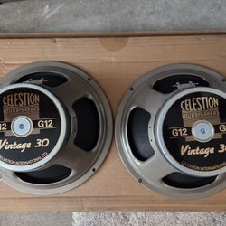 Guitar Speakers For Sale And Trade