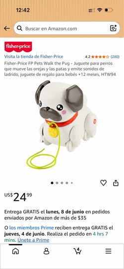 Pets walk
