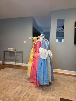 Authentic Disney Princess gowns