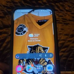 Samsung galaxy s 22 plus