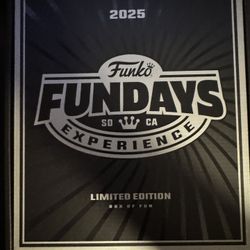 Funko Fundays Box Of Fun (Show)