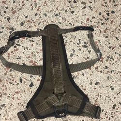 Medium Kong Harness 