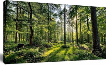 New Forest Landscape Canvas Wall Art Print 40x20in