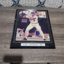 Cal Ripken Jr Fram
