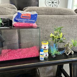 Top Fin 3 Gallon Fish Tank, Feeder And Filters