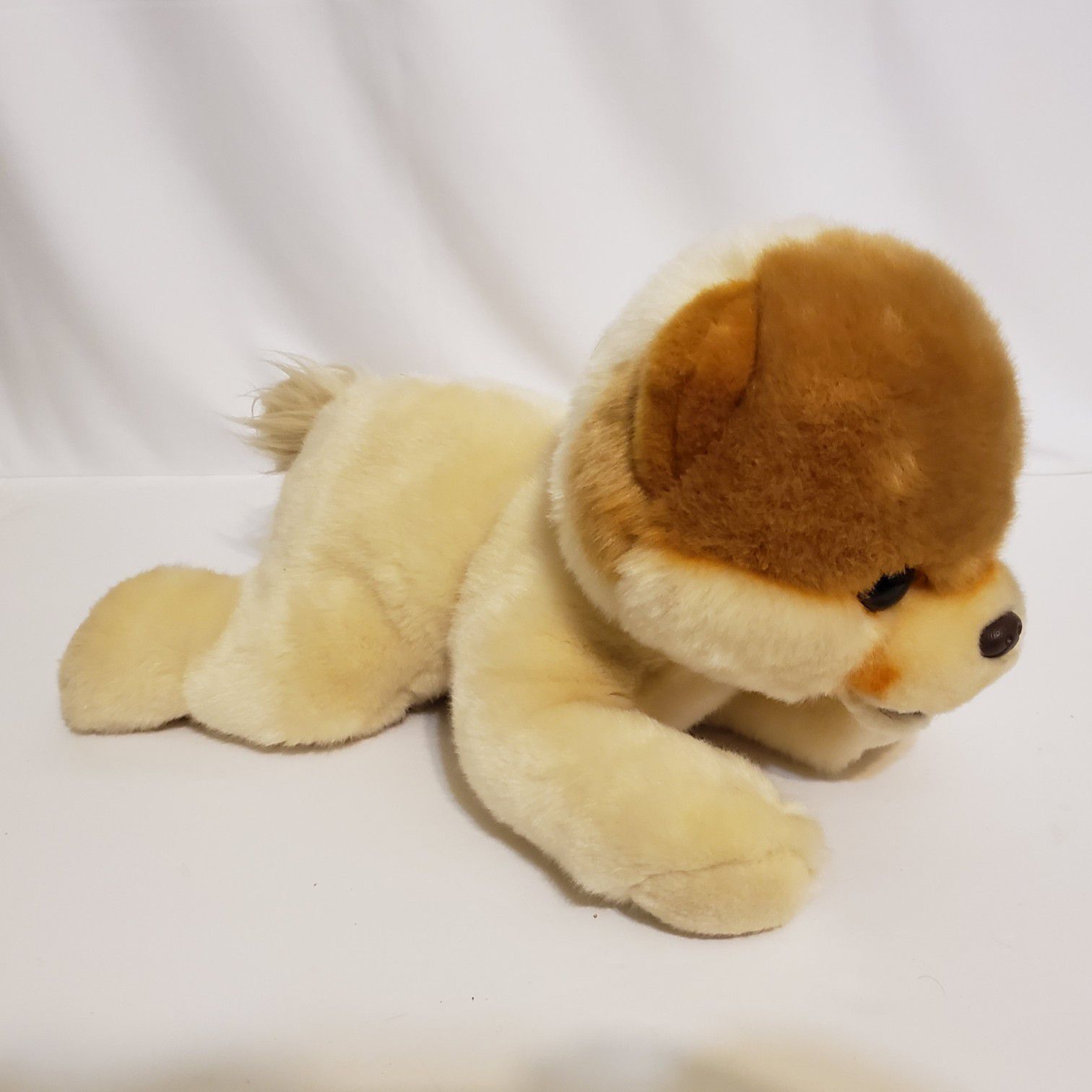 Gund Boo The World's Cutest Dog Laying Down Plush 14" Stuffed Animal Pom 4033410