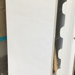 Stand Up Freezer