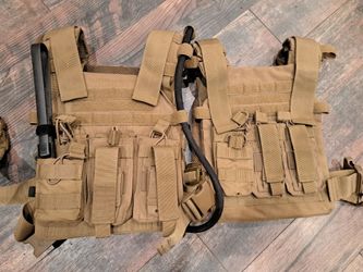 Plate carriers with plates