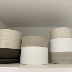 Plant Pots For Sale