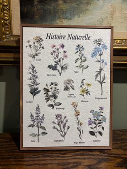 Histoire Naturelle Botanical Wildflower Framed Print