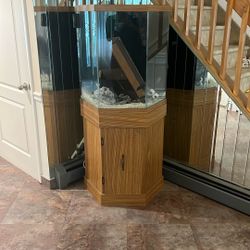 65 Gal Hex fish Tank With Light And Stand Eheim Canaster Filter
