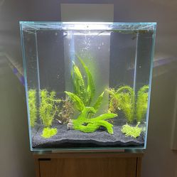 5 Gallon Fish Tank