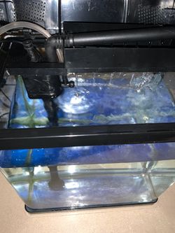 Pondon Fish Tank