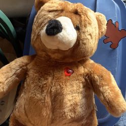 Talking Teddy Bear