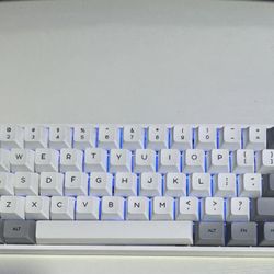 Skyloong keyboard / rocatt mouse