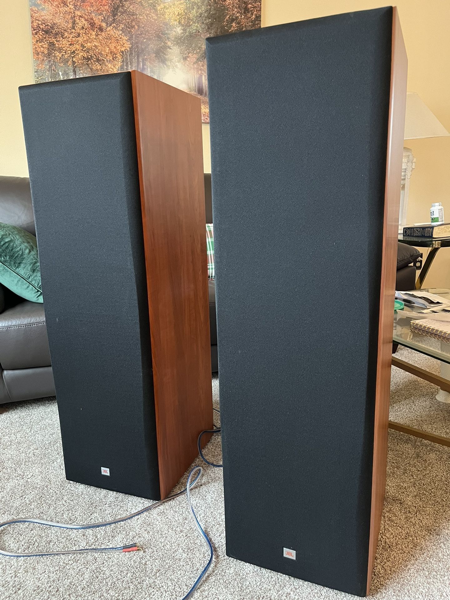 JBL Speakers (2)
