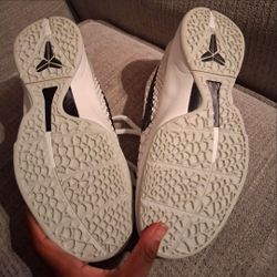 Kobes all stars size 7