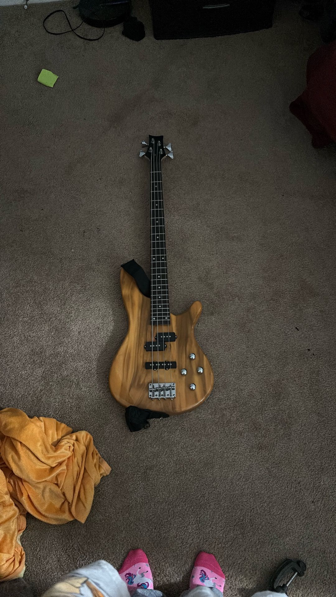 Electric Bass Guitar