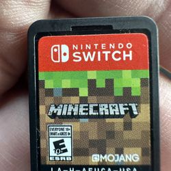Minecraft Nintendo Switch