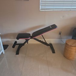 Exercise Bench 