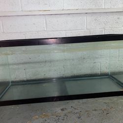 Fish Tank Set Up