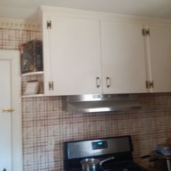 Retro Kitchen Cabinets 